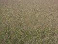 DSCN5044