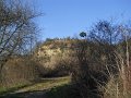 DSCN5049