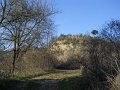 DSCN5050