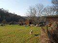 DSCN5054