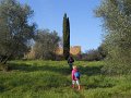 DSCN5071