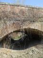 DSCN1493