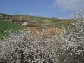 DSCN1503