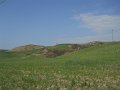 DSCN1509