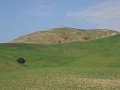 DSCN1521