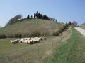 DSCN1528