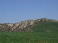 DSCN1535