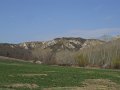 DSCN1541