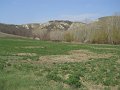 DSCN1542