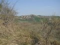 DSCN1548