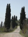 DSCN1569