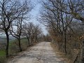 DSCN1590