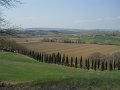 DSCN1594