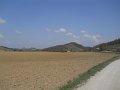 DSCN1597