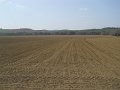 DSCN1604