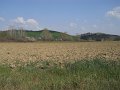 DSCN1606