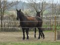 DSCN1619