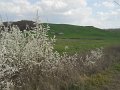 DSCN1627