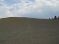DSCN1634