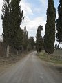 DSCN1637
