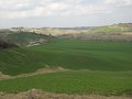 DSCN1650
