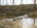 DSCN1685