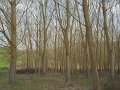 DSCN1690