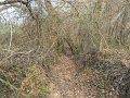 DSCN1695