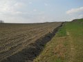 DSCN1702