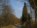 DSCN1704