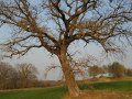 DSCN1710