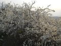 DSCN1712