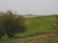 DSCN1723