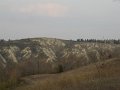 DSCN1731