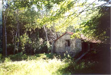 Un casetta nel bosco nella foresta demaniale nei pressi di Chitignano nel comune di Bibbiena (Ar).