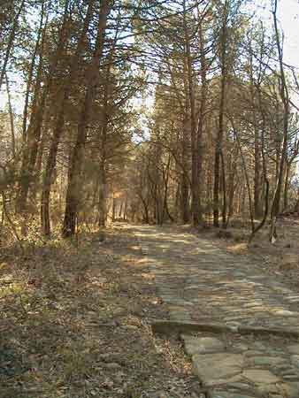 Il sentiero lastricato che porta al Santuario della Madonna del Sasso, immerso nel bosco.