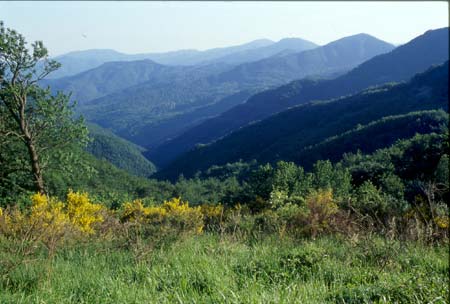 Splendida Val Carigiola, qui in una foto panoramica.