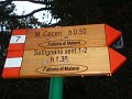 DSC01313