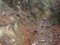DSC01321