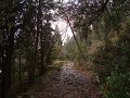 DSC01322