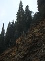 DSC01337