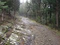 DSC01340
