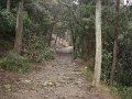 DSC01342