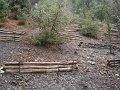 DSC01347