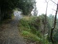 DSC01351