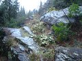 DSC01366