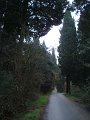 DSC01384