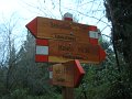 DSC01385