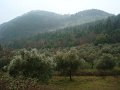 DSC01386