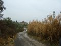DSC01388